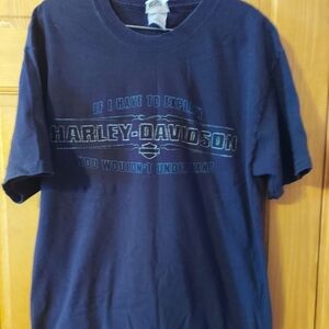 Mens Size Large, Harley T-shirt, Orlando, Florida